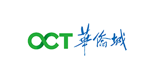 華僑城站群seo優(yōu)化服務(wù)